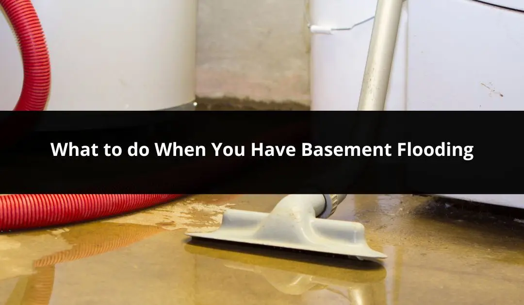 What to do When You Have Basement Flooding